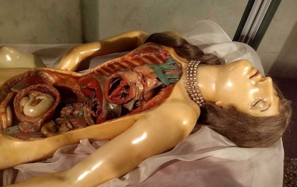 Anatomical Venus, Poggi's Palace, Emilia Romagna, Creepy Places in Italy